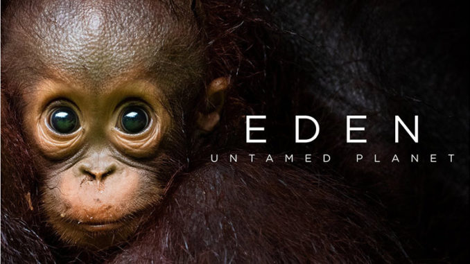 See Earth\'s Wonders Untamed \'Eden: 24: Planet\' in Untouched Saturday, July