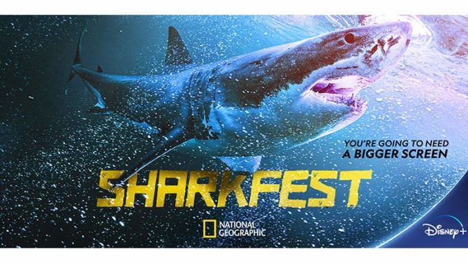 Sharkfest National Geographic Channel