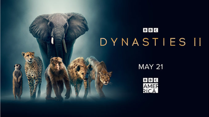 Dynasties II BBC America