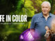 Life in Color With David Attenborough BBC America