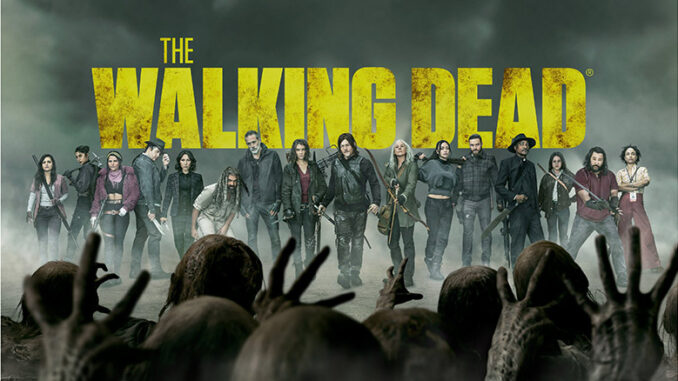kredsløb Mountaineer sammentrækning Sunday, Nov. 20: Who Will Survive? 'The Walking Dead' Series Finale on AMC