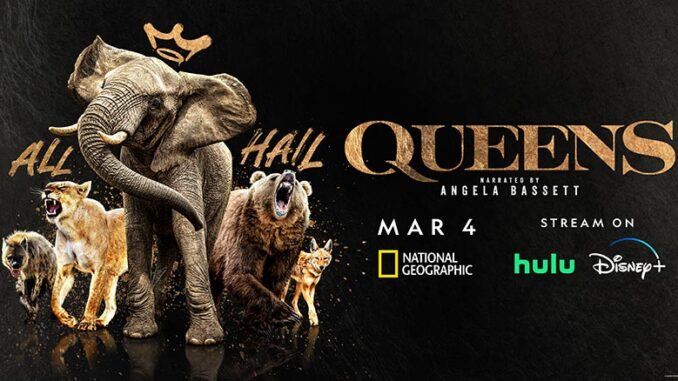 Queens National Geographic Channel