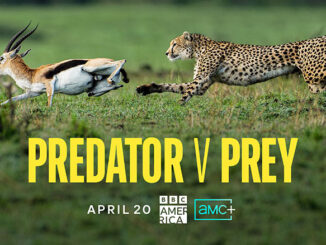 Predator v Prey BBC America